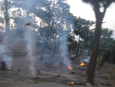 Viagem, Quelicai - Baucau; @2012